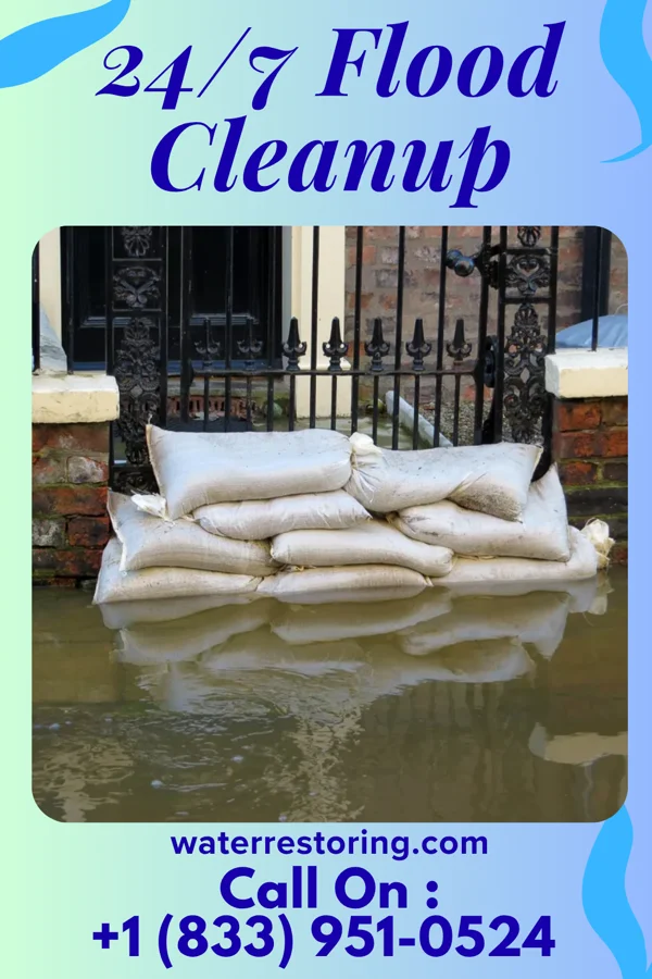 24/7 Flood Cleanup in Blades, DE