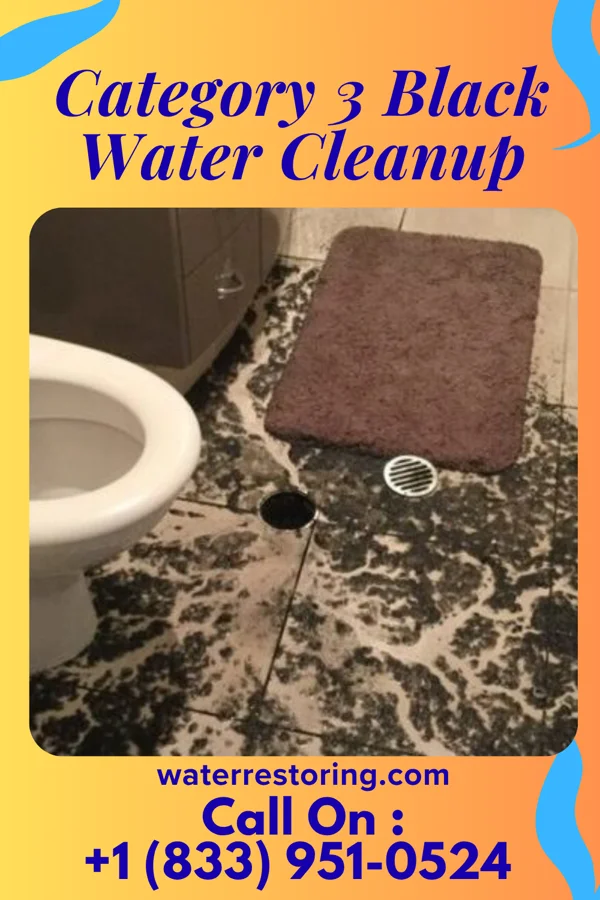 Category 3 Black Water Cleanup in Blades, DE