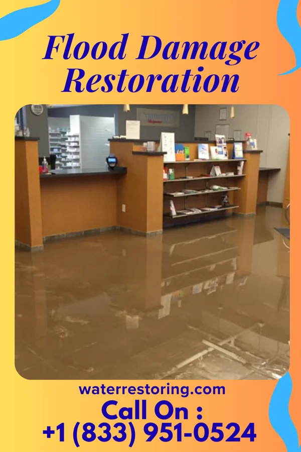 Flood Damage Restoration in Blades, DE