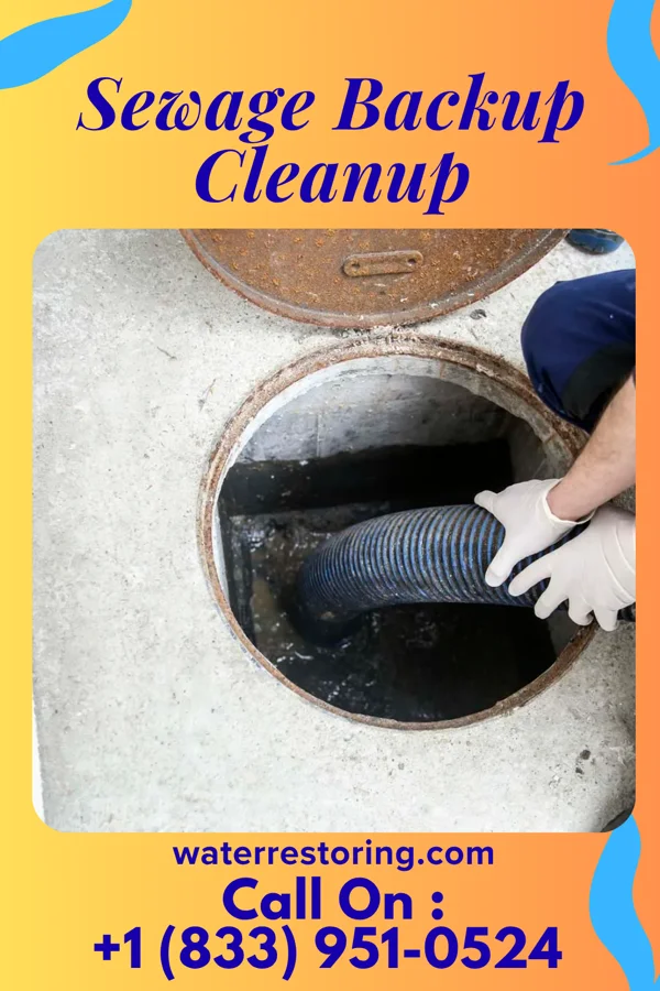 Sewage Backup Cleanup in Blades, DE