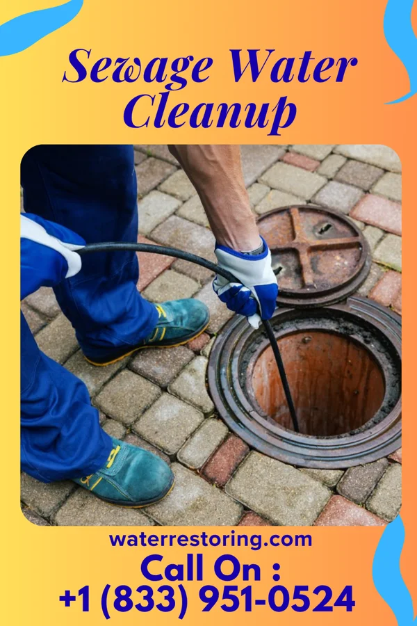 Sewage Water Cleanup in Blades, DE
