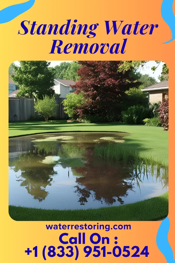 Standing Water Removal in Blades, DE